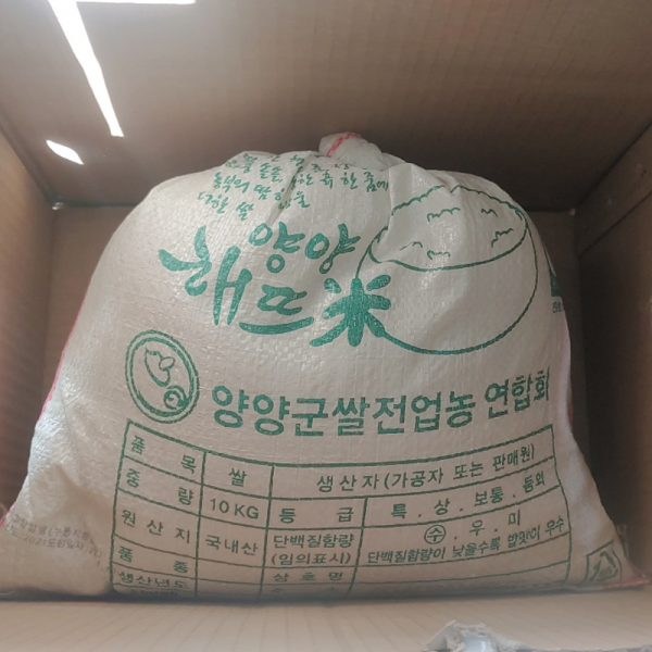 강원더몰,(롯데ON) 양양세남매농장 해뜨미 10kg  (24년 생산한 품종 오대미)